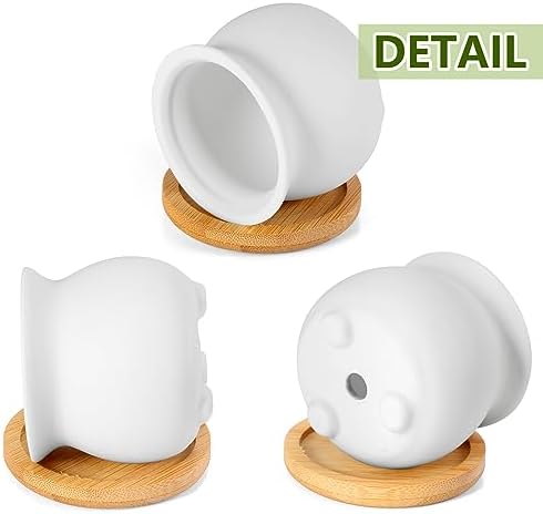 Remerry 24 Pcs 2.5 Inch Mini DIY Ceramic Succulent Pots with Bamboo Tray - Image 4