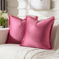 FUTEI Pack of 2 Velvet Decorative Throw Pillow Covers 20x20 Inch, Hot Pink by FUTEI