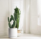 D'vine Dev 12 Inch Ceramic Planter Pot, White, 94-O-F-1 - Image 5