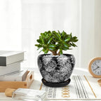 Ceramic Plant Pots With Saucer & Drainage Hole, 6 inch Indoor Flower Pots - Image 7