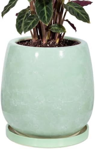 10.3 Inch Ceramic Glaze Plant Pot with Saucer, Flower Pots with Drainage Hole Mesh Net (Grass-Green) by Unknown