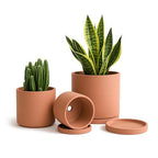 D'vine Dev 3-Pack Classic Terracotta Pots & Saucers, 4/5/6 in, 40-T-A-0 by DvineDevPlanterPotsandStand