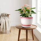 8 Inch Ceramic Plant Pot, Pink + White - Image 7