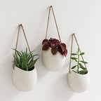 Kazai. Wall Planters -Ellie- | Hanging Ceramic Plant Pots 3 Pieces | Wall Decoration for Indoors, Balcony and Garden | Cream (Matte) by KAZAI