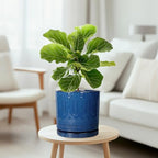Eightpot Ceramic Planter - 8 Inch Plant Pot Indoor with Drainage Holes and Saucer Round Planter Outdoor Mid-Century Modern Flower Pot Succulent Pot for Home Decor Blue - Image 2