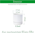 D'vine Dev 4-Pack Ceramic Pots with Saucers, White, 4.7 in, 94-X-B-1 - Image 3