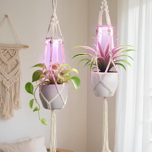 Macrame Plant Hangers - Beautiful Plants in Low Light by Unknown