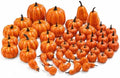 52 PCS Assorted Sizes Rustic Orange Harvest Artificial Pumpkins Realistic Faux Pumpkins for Fall Halloween Thanksgiving Holiday Home Mantel Tabletop Painting Decorations by Keeplush
