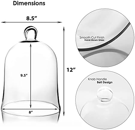 CYS EXCEL Glass Bell Dome Cloche (H:12" W:8.5") | Multiple Size Choices Enchanted Rose Glass Cover | Cake Dessert Display | Terrarium Jar Plant Cover - Image 2