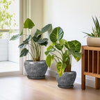 Ceramic Planters - 10 Inch 8 Inch 6 Inch Round Decorative Plant Pots with Drainage Holes and Saucers for Indoor Outdoor Flower, Room Home Apartment Decor, Gift for Women Men, Set of 3, Grey - Image 5