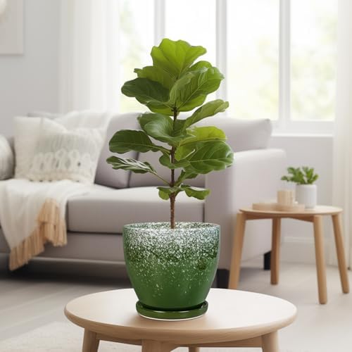Ceramic Pots for Plants - 8 Inch Planter for Indoor Outdoor Plants, Round Planter, Large Flower Pot with Drainage and Saucer, Home Room Garden Office Decor, Birthday Gifts, Green - Image 7