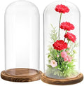 2 Pack Glass Cloche Display Dome, 10 Inch Large Decorative Glass Bell Jar, Clear Dome Showcase with Dark Brown Wooden Base, for Plants, Medals, Photos, Antique Collectibles, Mother's Day by Mezchi