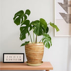 8 Inch Plant Pot, Ceramic Planter with Drainage Hole and Saucer Large Flower Pot for Home Patio Garden Office, Yellow - Image 2