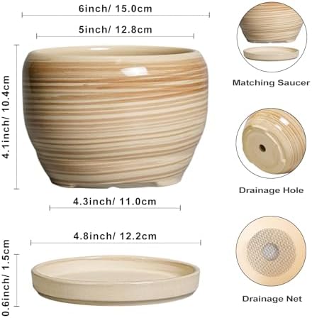 SQOWL Ceramic Pot for Plants - 6 Inch Indoor Planter with Drainage Hole and Tray, Round Modern Flower Pot Outdoor, Decorative Succulent Planter, Kitchen Decor, Gifts for Plant Lovers, Yellow - Image 2
