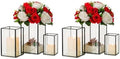 Hewory Glass Hurricane Candle Holder, 6Pcs Black Rectangle Flower Holders by Hewory
