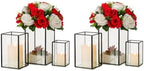Hewory Glass Hurricane Candle Holder, 6Pcs Black Rectangle Flower Holders by Hewory