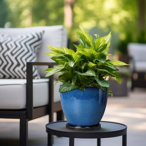 8 Inch Planter - Ceramic Plant Pot with Drainage Hole and Tray Round Planter Modern Flower Pot for Room Home Office Patio Porch Garden Decor Blue - Image 5