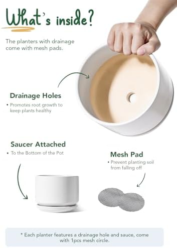 LE TAUCI Ceramic Pots for Plants, 4.3+5.3+6.8 Inch, Set of 3, White - Image 6