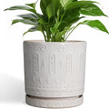 Eightpot Ceramic Planter for Indoor Plants - 8 Inch Plant Pot Outdoor Flower Pot with Drainage Holes and Saucer Modern Round Planter Succulent Pot for Home Garden Decor White by Eightpot