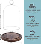Glass Cloche Dome Bell Jar Display Case with Small Ball Top and Wooden Base for Plant,Collectibles (Medium:4.7 * 6.3 inches) - Image 4