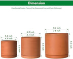 D'vine Dev 3-Pack Classic Terracotta Pots & Saucers, 5/6/8 in, 40-T-B-0 - Image 3