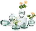 Glasseam Glass Bud Vase for Centerpieces, 6Pcs Green Small Flower Vase Set by Glasseam