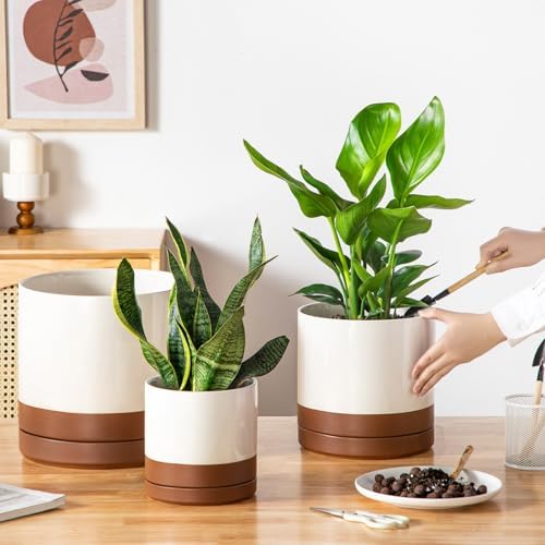 vancasso Ceramic Pots for Plants, Plant Pots for Indoor Plants, 6.25+8.25+10.25 Inch Ceramic Planters, Flower Pots with Drainage Holes, Planters Pot for Indoor House Plant, Set of 3, Khaki - Image 5