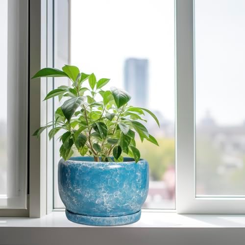 SQOWL Ceramic Planters - 10 Inch Plant Pot Indoor with Drainage Hole and Saucer, Decorative Flower Pot Outdoor, Round Large Planter, Living Room Office Garden Decor, Plant Lover Gifts for Women, Blue - Image 4