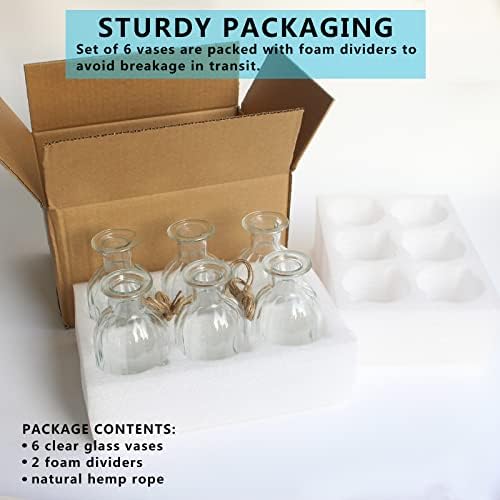 Bud Vases Set of 6 Small Glass Vase for Flowers, Clear Vase Set (Pack of 2) - Image 2