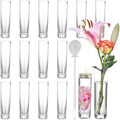 16PCS Glass Cylinder Bud Vases, 7.48" H x 1.81" W, Clear by AJARAERA