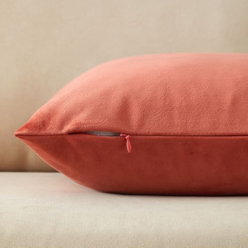 JUSPURBET 28x28 Euro Velvet Throw Pillow Covers Set of 2,Apricot - Image 6