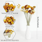 MIHUAGE Dried Flower 40PCS Daisy Bouquet 100% Natural Chrysanthemum Dry Flower for Vase Home décor Party DIY Arrangement Wheat Straw Bulk （Multi-Color） - Image 2