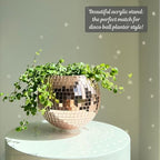 SCANDINORDICA Disco Ball Planter, Value Package, 8-inch Rose Gold - Image 6