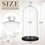 Suclain 2 Pcs 2Pcs 13.8 Inch Tall Glass Cloche Display Dome,Black,Diamond - Image 2