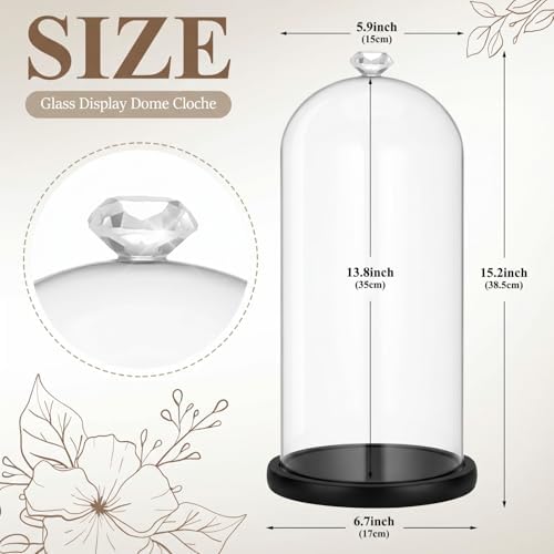 Suclain 2 Pcs 2Pcs 13.8 Inch Tall Glass Cloche Display Dome,Black,Diamond - Image 2