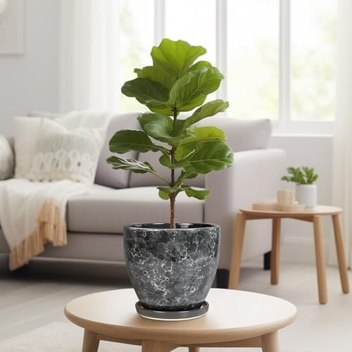 Ceraimc Planter - 8 Inch Plant Pot for Indoor Outdoor Plants, Decorative Round Planters, Flower Pot with Drainage and Saucer, Garden Porch House Room Decor, Plant Lover Gifts, Grey - Image 7