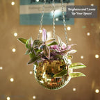 SCANDINORDICA Disco Ball Planter, Value Package, 6-inch Gold - Image 4