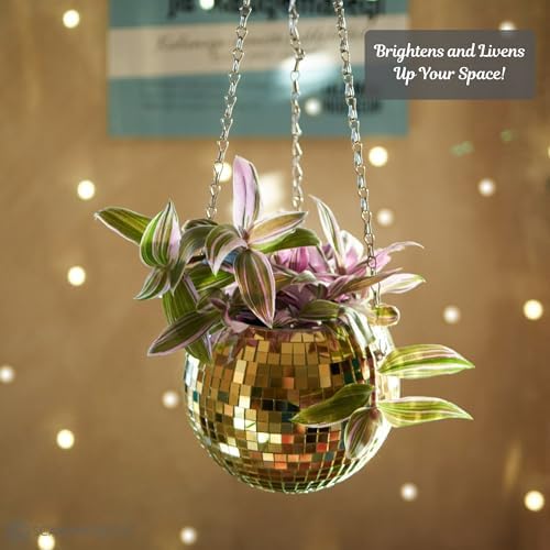 SCANDINORDICA Disco Ball Planter, Value Package, 6-inch Gold - Image 4