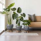 Ceramic Planters - 10 Inch 8 Inch 6 Inch Round Decorative Plant Pots with Drainage Holes and Saucers for Indoor Outdoor Flower, Room Home Apartment Decor, Gift for Women Men, Set of 3, Grey - Image 2