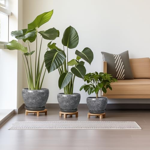 Ceramic Planters - 10 Inch 8 Inch 6 Inch Round Decorative Plant Pots with Drainage Holes and Saucers for Indoor Outdoor Flower, Room Home Apartment Decor, Gift for Women Men, Set of 3, Grey - Image 2
