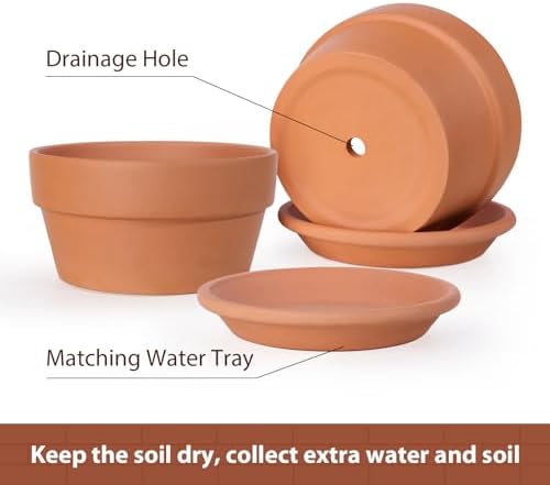 INGOFIN 8 Inch Terracotta Shallow Pots Set with Saucer - Ceramic Clay Pots with Drainage Hole, Terra Cotta Pot for Plants for Indoor Outdoor Plants, Set of 2 - Image 3