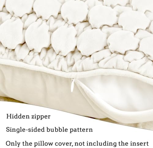 Velvet Throw Pillow Covers 18x18 Set of 2 Cream Cushion Case - Image 5