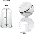 CYS EXCEL Tall Glass Cloche Dome (H:15" D:9.75") | Multiple Sizes Decorative Showcase Display for Antique Collectibles | Bell Jar Terrarium & Dessert Cover - Image 2