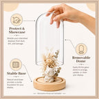 Tessco for you 3 Pcs Glass Cloche Dome Display with Solid Wood Base, L/M/S - Image 4