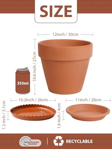 INGOFIN 12 Inch Terracotta Pot Set of 2 with Saucer - Ceramic Clay Pot for Plants with Drainage Hole, Large Terra Cotta Flower Planter with Tray for Indoor Outdoor Plants - Image 2