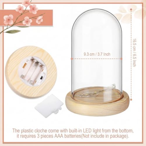 Roowest 12 Pcs Plastic Cloche Dome, led Light & Wood Base, 6.5 x 3.7 Inch - Image 6