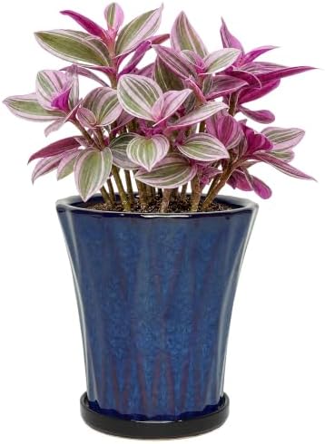 6.6 Inch Ceramic Planters with Drainage Hole and Saucer,Indoor Outdoor Large Flower Pots, Garden Pot for Plant Lovers (Blue) by Unknown