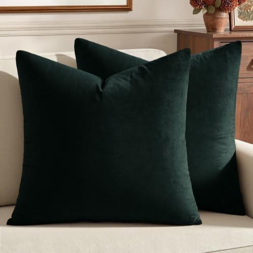 MIULEE 24x24 Inch Pack of 2 Euro Velvet Throw Pillow Covers Army Green by MIULEE