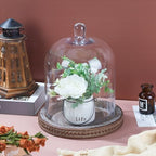 11" High Large Handmade Sturdy Glass Cloche With Rustic Brown Beaded Wooden Base In Farmhouse & Cottage Style, For Terrarium, Trinkets, Cakes, Figurines (Brown, 7.5"x10.6") by Unknown