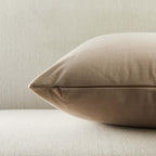 JUSPURBET 28x28 Euro Velvet Throw Pillow Covers Set of 2,Stone - Image 6